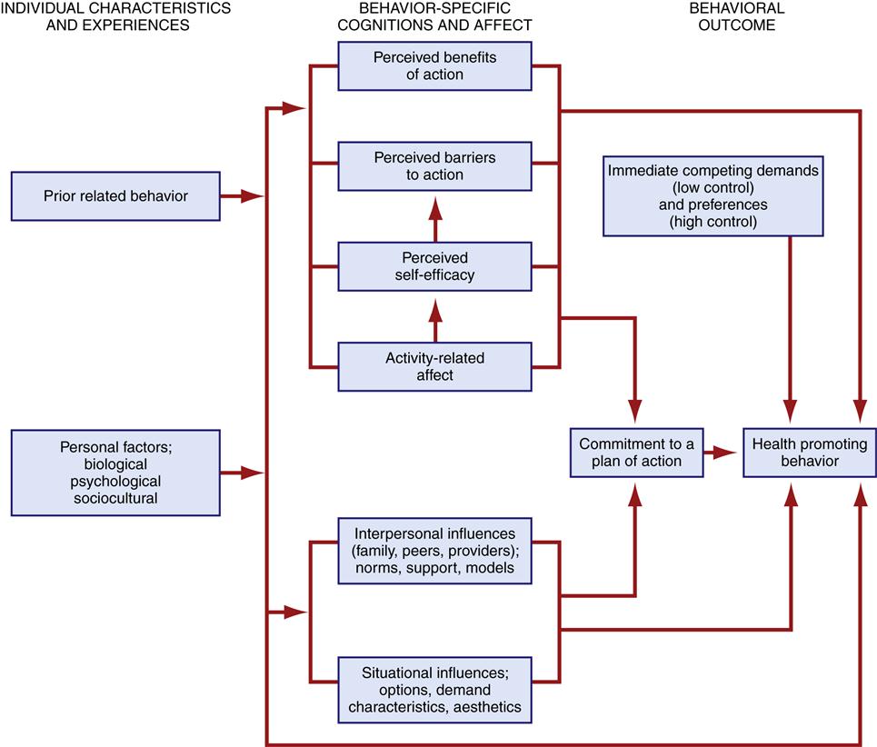 Health Promotion Model Of Nursing