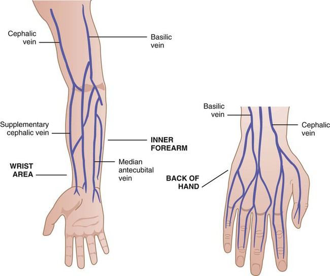 Blue veins image