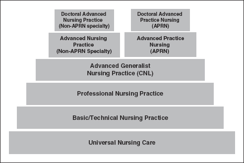 nursing discipline practice