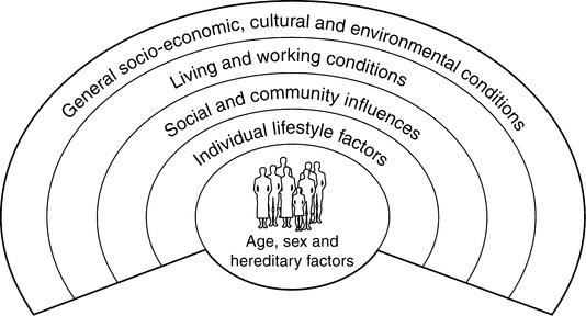 Expanding horizons: developing a public health perspective in midwifery ...