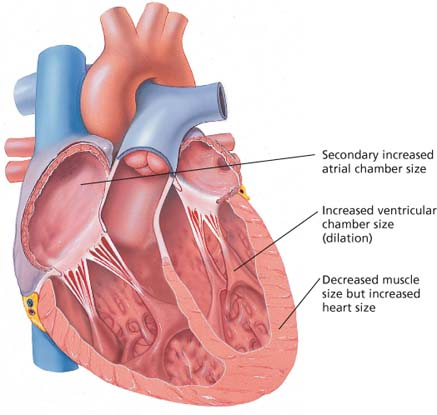 Cardiovascular care | Nurse Key