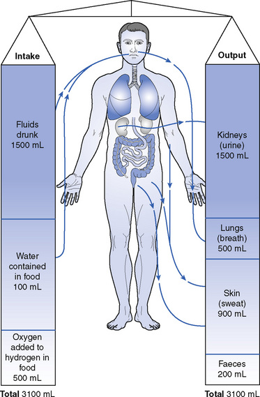 Fluid Balance Calculation for OSCE - unilondon.co.uk