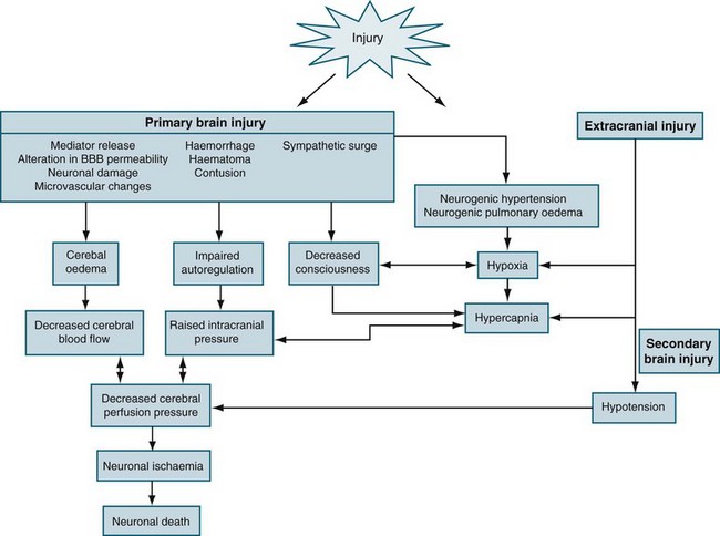 Neurological Alterations and Management | Nurse Key