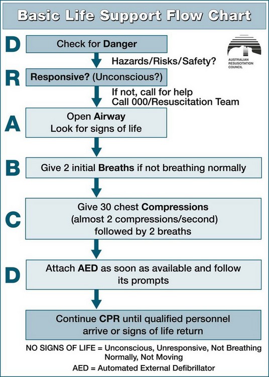 Arc Basic Life Support Flow Chart