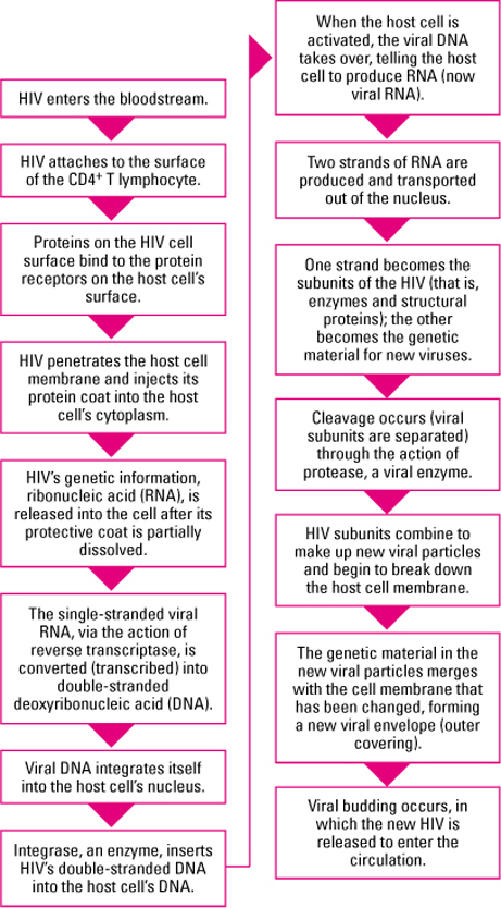 Human Immunodeficiency Virus Infection | Nurse Key