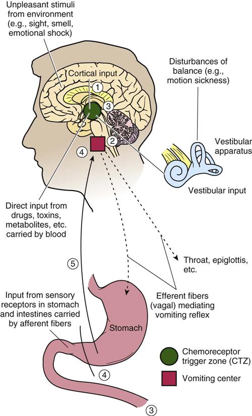 Types Of Nausea Medicine at Steve Shaffer blog