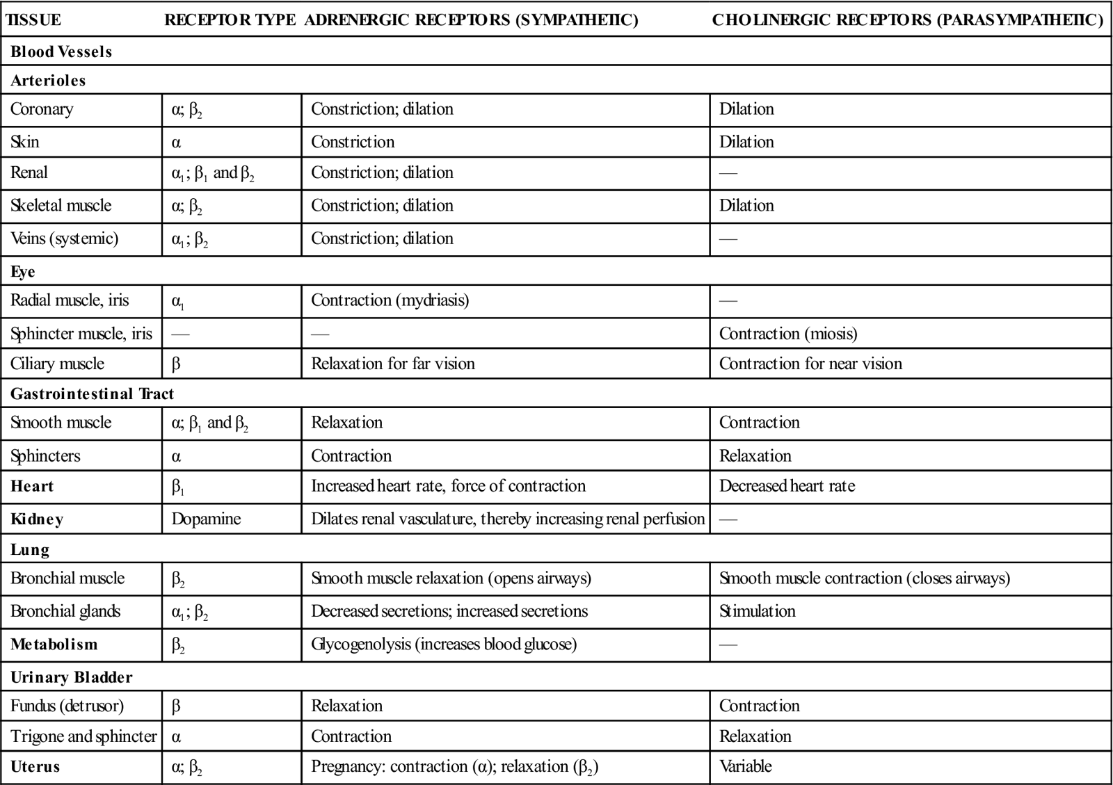 drugs that speed up the central nervous system