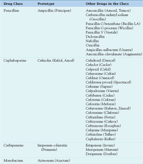 Drug Therapy With Beta Lactam Antibacterial Agents Nurse Key