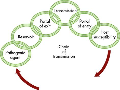 chain of transmission of infectious disease