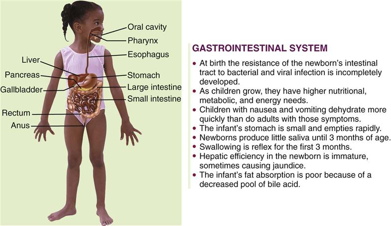 28. The Child with a Gastrointestinal Condition | Nurse Key