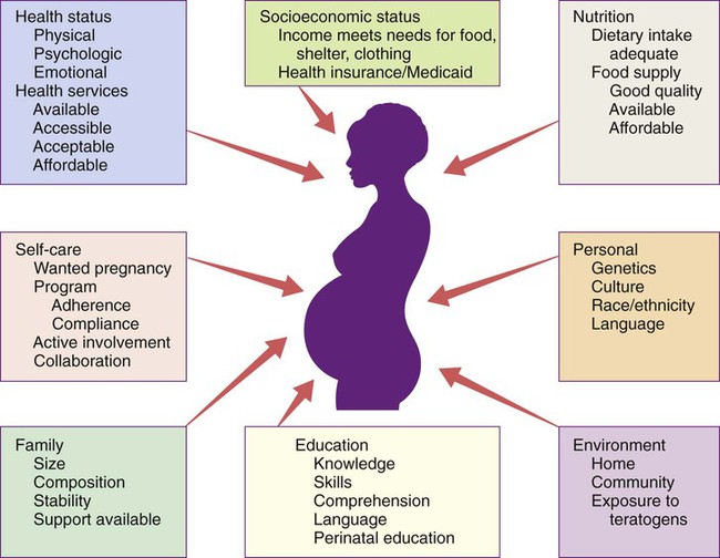 Pregnancy - Urinary Tract, Nutrition, Development