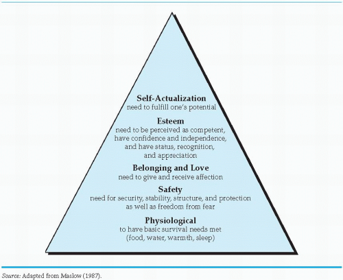 Applying Learning Theories To Healthcare Practice | Nurse Key