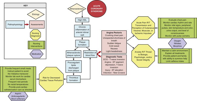 Coronary Artery Disease Concept Map Cardiovascular Disorders | Nurse Key