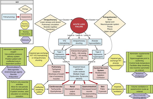 respiratory system concept map