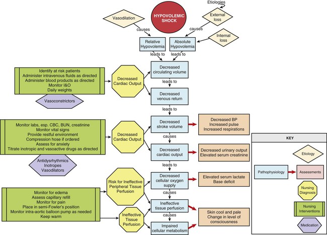 Sepsis Pathophysiology Nursing