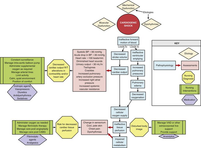 Shock, Sepsis, and Multiple Organ Dysfunction Syndrome | Nurse Key