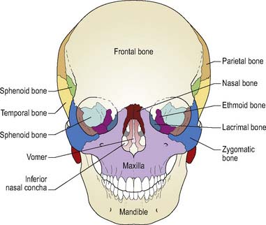 Nursing patients with disorders of the mouth | Nurse Key