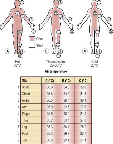 Body normal temperature what the is What is