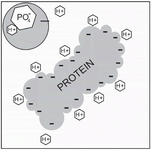 protein precipitation buffer