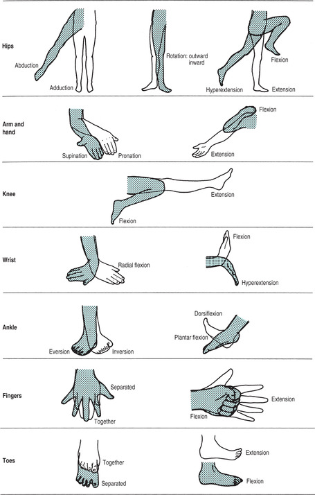 What Are Active And Passive Exercises