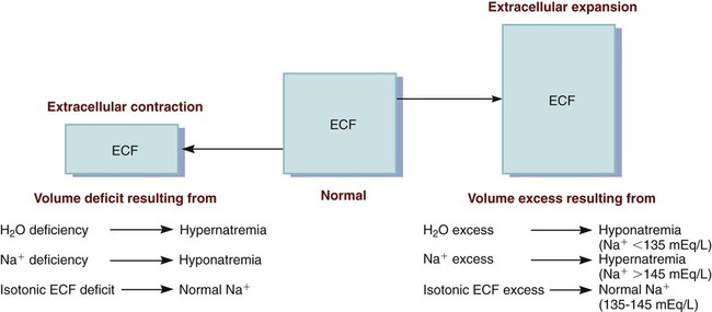 extracellular fluid volume
