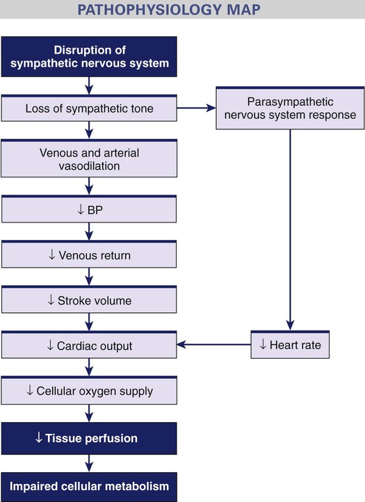 [diagram] Cardiogenic Shock Pathophysiology Diagram Mydiagram Online