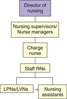 nursing nurse organizational chart department hospitals rn organization licensed sample vocational lpn lvn practical registered