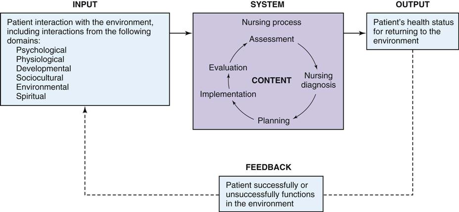 examples of theoretical framework in nursing research