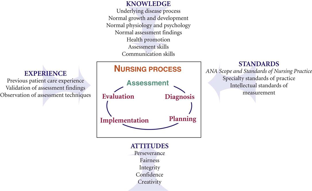 Probability diagram of the nursing diagnosis.