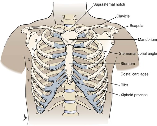pain in middle of chest bone