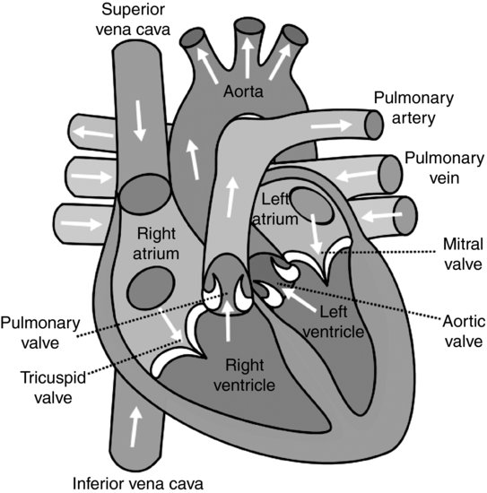 ch05fig002.eps