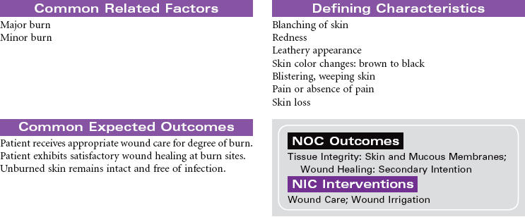 skin nursing diagnosis