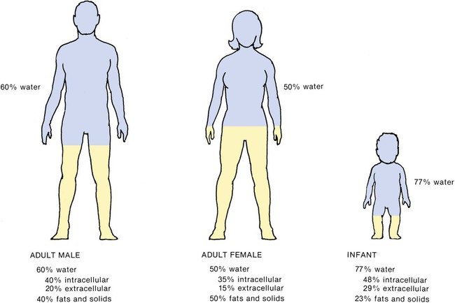 body fluid compartments percentages