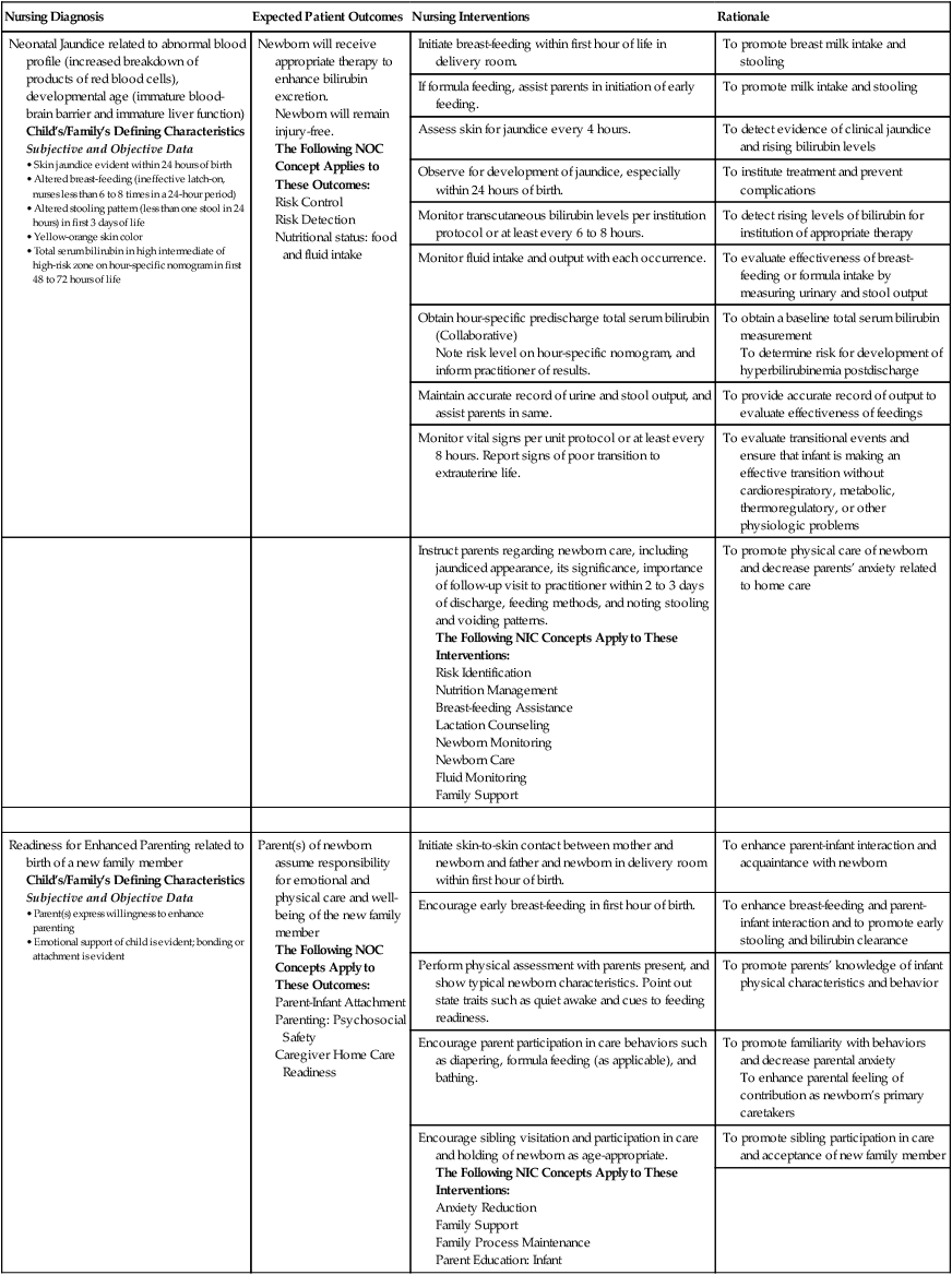 Nanda Nursing 18 Examples Of Nursing Care Plan