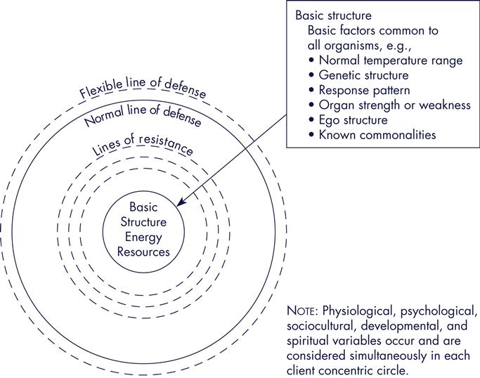 Neumans systems model