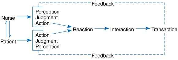 15-conceptual-system-and-middle-range-theory-of-goal-attainment