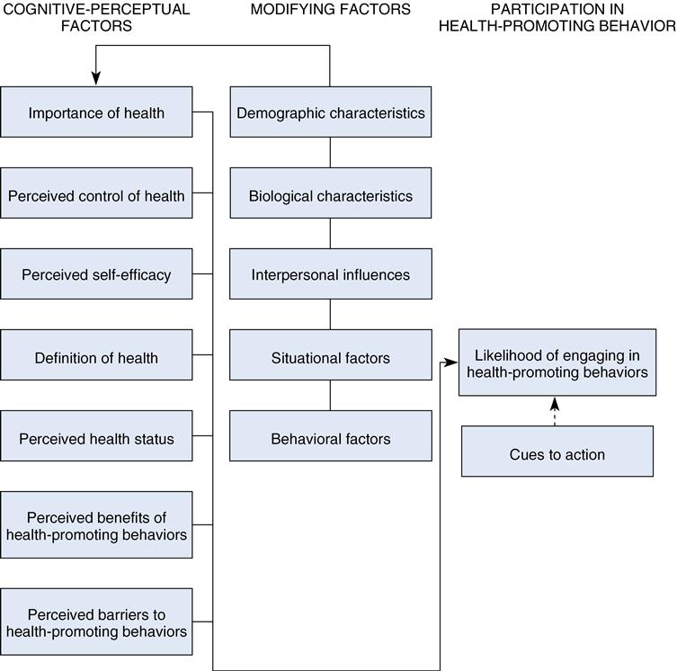 health promotion model nursing theory