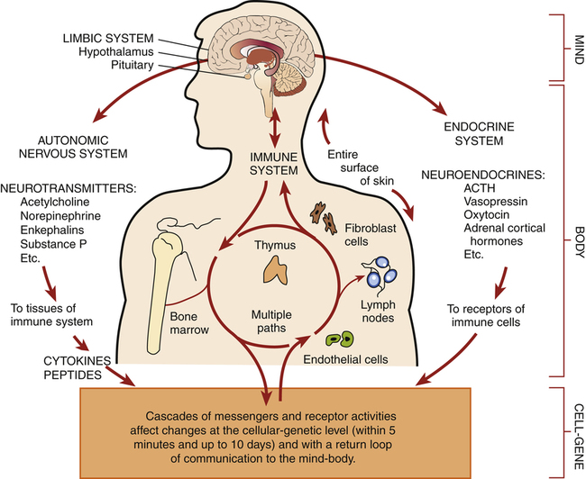 psychophysiological-responses-and-somatoform-and-sleep-disorders