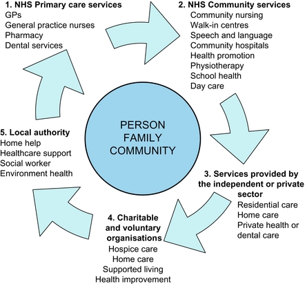 community services health roles settings introduction care figure nurse