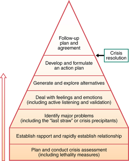 theories how different nursing are and Key Nurse  Crisis  disaster