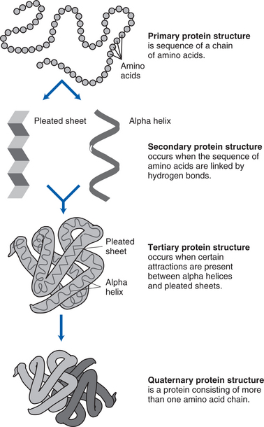 Cancer Pathophysiology | Nurse Key