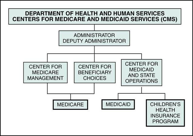 Center For Medicare Organization Chart