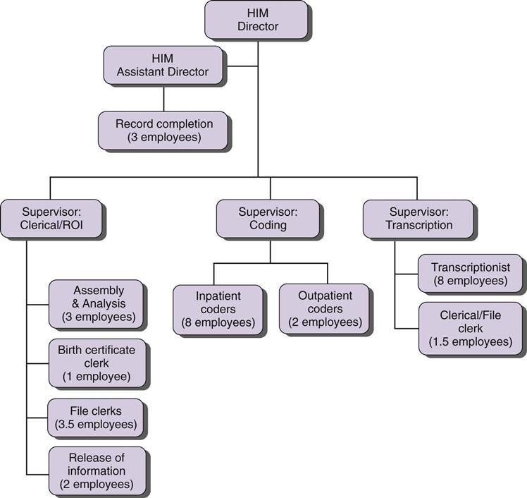 Health Information Management Organizational Chart