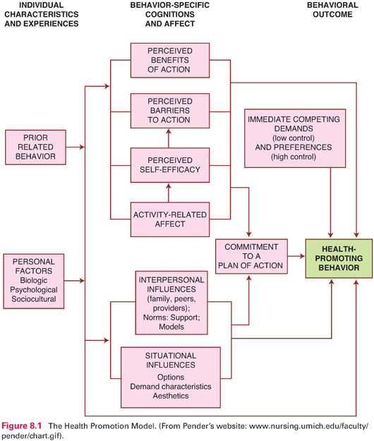 nursing theoretical framework examples