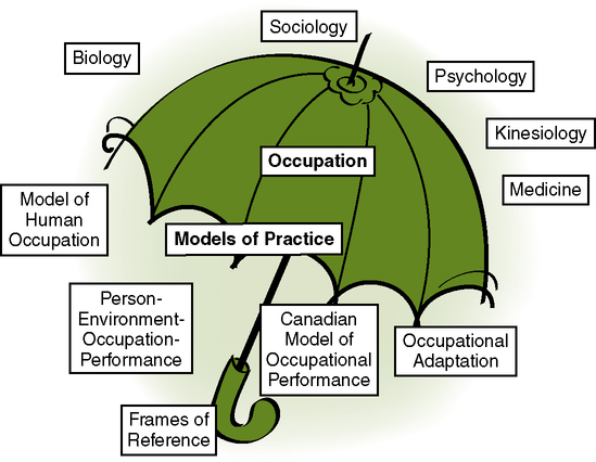 Canadian Model of Occupational Performance (CMOP-E). Published