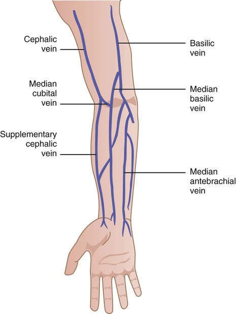 median antebrachial vein