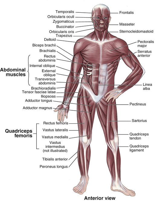 Body Structures and Functions Updated (Mindtap Course List