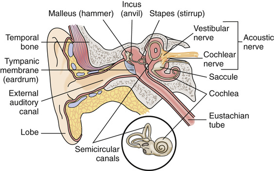 Hearing, Speech, and Vision Problems | Nurse Key