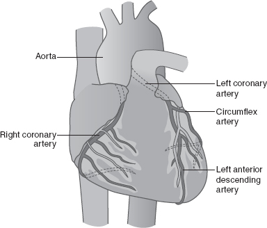 Diagnostic Tests | Nurse Key