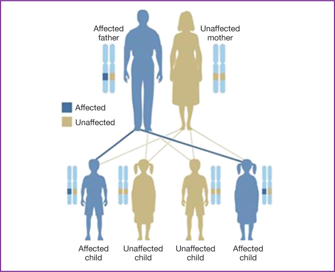 Patterns Of Inheritance | Nurse Key